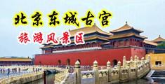 骚批视频中国北京-东城古宫旅游风景区
